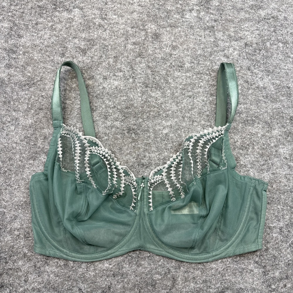 Wacoal Evocative Edge Full Figure Underwire bra women's 36G green tulle 855304